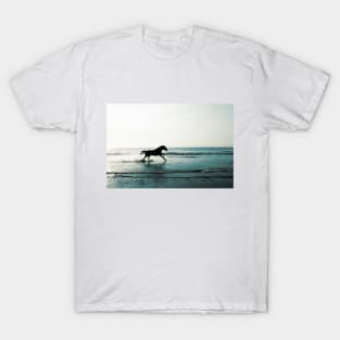 Running horse T-Shirt